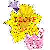 I love spring
