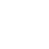 Pferdeportrait