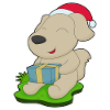 Dog Christmas Package