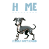 Home - Italian Greyhound