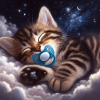 Söt kattunge som sover med sin napp.