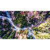 Vogelperspektive auf den Wald