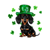 Teckel St Patrick’s Day Shamrock