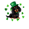Teckel St Patrick’s Day Shamrock