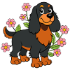 Kleiner Gordon Setter