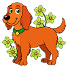 Irish setter