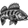 Perch