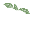 Mozzarella