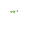 Humour mozzarella