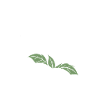 Humour mozzarella