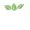 Mozzarella