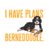 Bernedoodle Dog