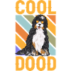 Bernedoodle Dog