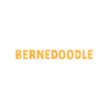 Chien Bernedoodle