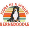 Chien Bernedoodle