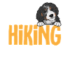 Bernedoodle Dog