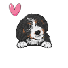 Bernedoodle Dog