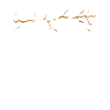 Kintsugi Kintsukuroi Japon imparfait
