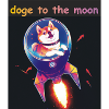 doge to the moon