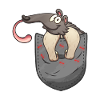 Dear Anteater Gift