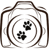 Tierfotografie