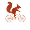 Eichhörnchen Fahrrad