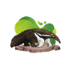 Dear Anteater Gift