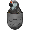 African Grey Parrot Gift