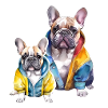 Funny french bulldog family.