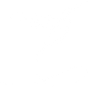 Oiseau étrange blanc