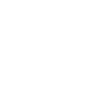Drone Pilot