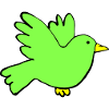 Couleurs des oiseaux