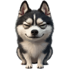 Cheerful Husky Laughing Face