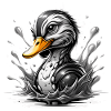 Canard noir et blanc