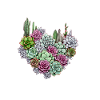 Plants Maximum Love