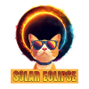Sonnenfinsternis Katze