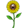 Sunflower face friendly cute