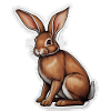 Lapin Pâques Sweet