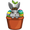 Bunny Easter Spring