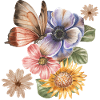 FLOWERS & BUTTERFLY