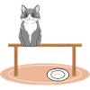 Cat on table