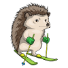 Igel Skifahrer Ski Wintersport