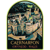 Illustration Caernarfon Castle, Wales, UK