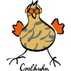 The Cool Chicken