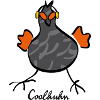02 Cool Chicken 34