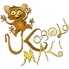 tarsier
