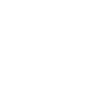 Party