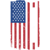 Danseur Us Flag Dancing