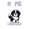 Home - Landseer