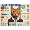 Infographie Chat